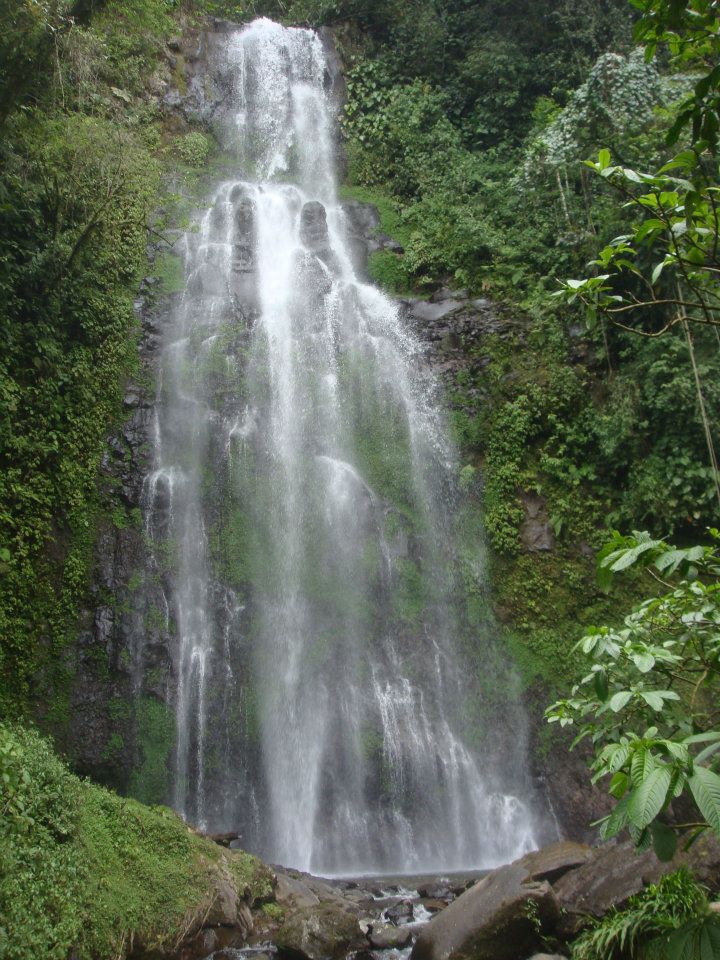 Mexico Mafafas Lot #1