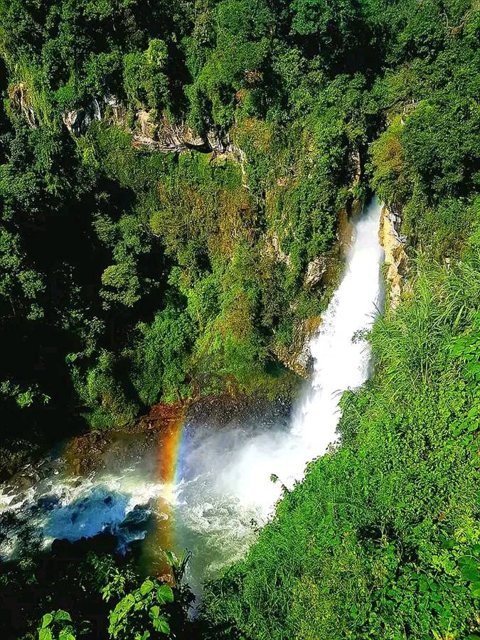 Mexico Mafafas Lot #1