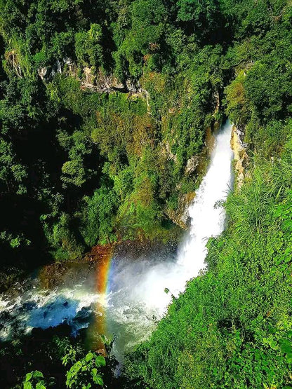 Mexico Mafafas Lot #1