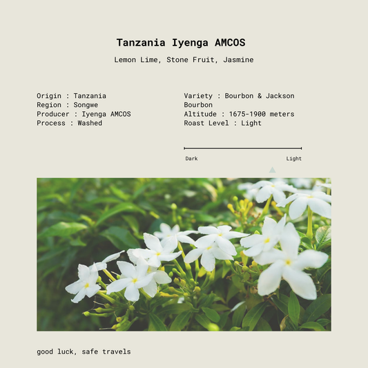 Tanzania Iyenga AMCOS