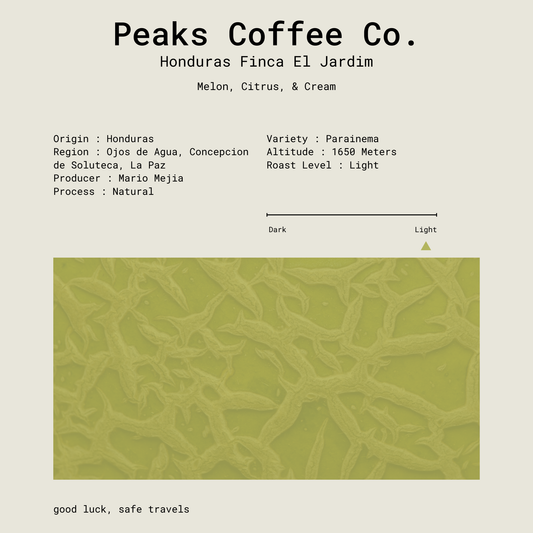 Honduras Finca El Jardim Parainema Natural