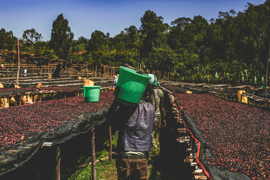 Ethiopia Bombe Abore