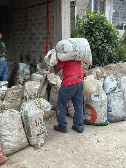 Mexico Mafafas Lot #1