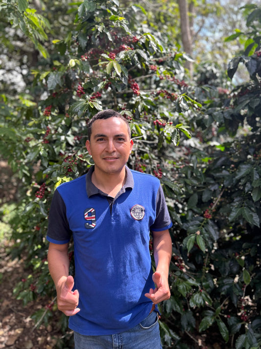 Peru Agroforestry Rutas del Inca