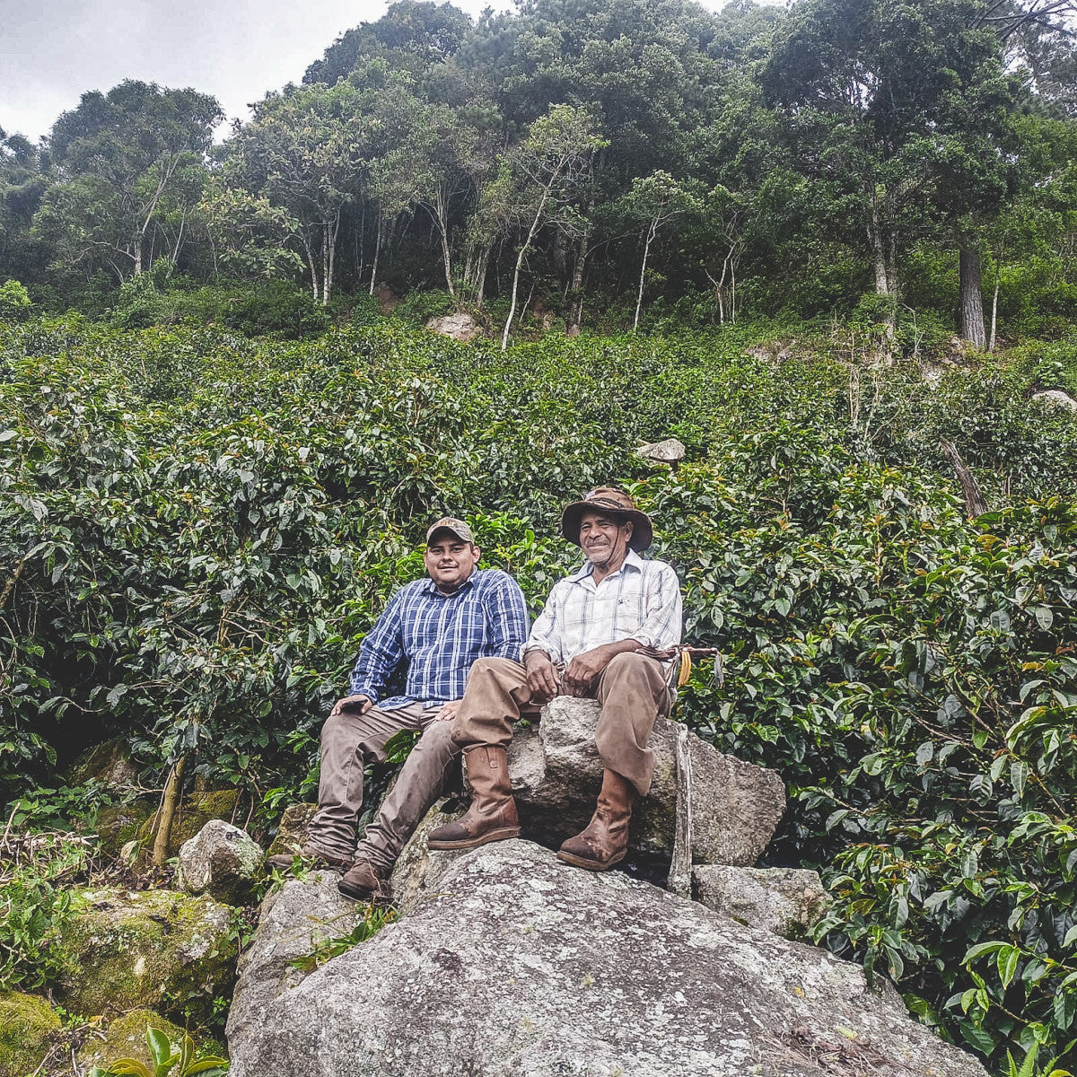 Honduras Finca El Jardim Parainema Natural