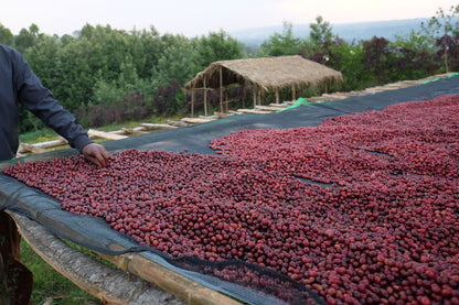 Ethiopia West Arsi Nensebo Natural