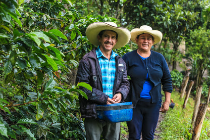 Peru Agroforestry Rutas del Inca