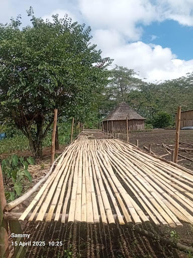 Papua New Guinea Peter Seed Asaro EHP