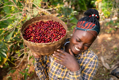 Ethiopia Banko Gotiti Anerobic Natural