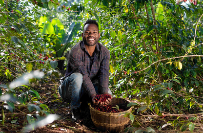 Ethiopia Banko Gotiti Anerobic Natural